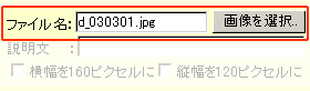 �t�@�C����